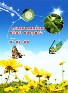 簡短,句子,能量,團隊