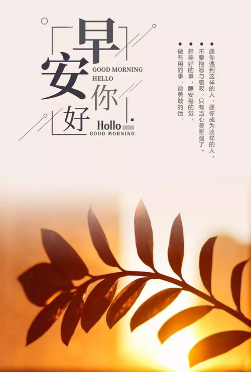 踏著早晨的陽光正能量句子