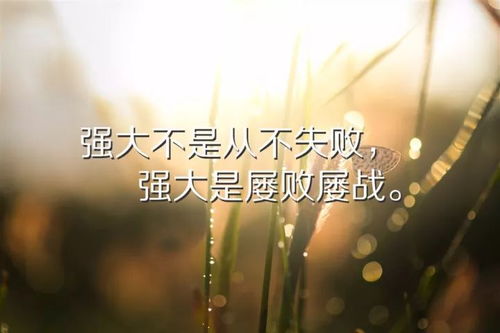 早安正能量心語(yǔ)帶,早安正能量心語(yǔ)加,正能量語(yǔ)錄早安心語(yǔ)帶