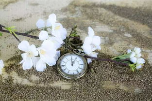 靜靜等待的唯美句子,靜靜等待一個人的句子,形容靜靜等待好消息的句子