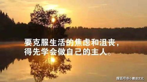 句子,能量,下午