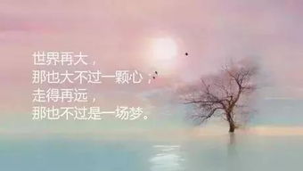 正能量現(xiàn)實情感勵志句子