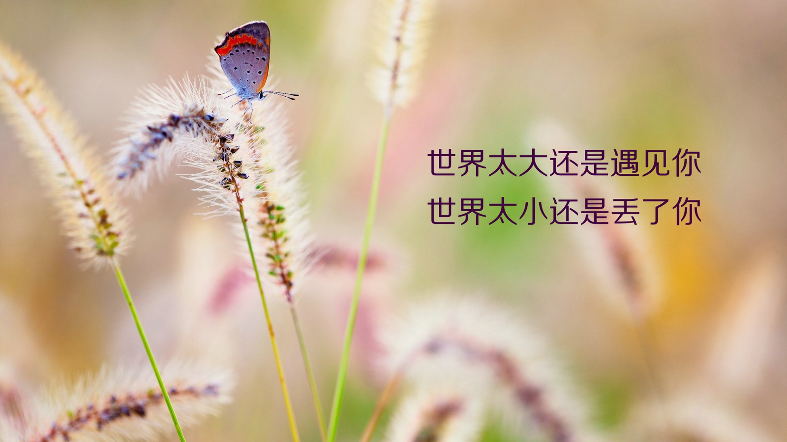 微商早安心語正能量,微商晚安心語正能量,早安語錄正能量句子