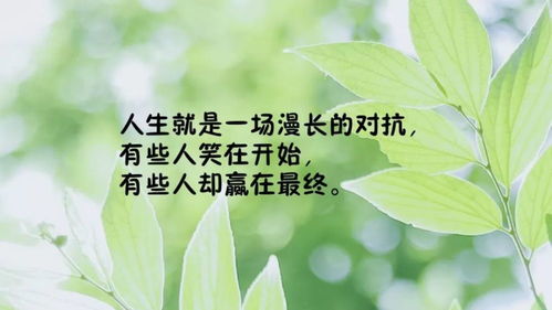 晚安致自己正能量發(fā)圈的句子,正能量發(fā)圈的句子經(jīng)典語句,正能量勵志發(fā)圈的句子