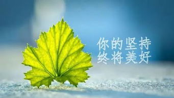 句子,能量,陽光