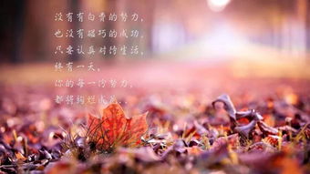 正能量朋友圈說說的好句子配圖,朋友圈說說的好句子正能量短句,早安正能量的朋友圈說說的句子