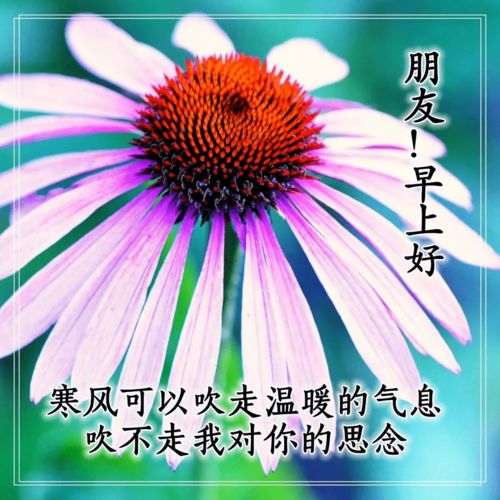 寒冬,句子,描寫(xiě),能量