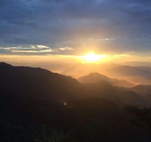 句子,書里,能量