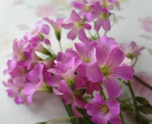 陽(yáng)光心態(tài)的正能量句子句句暖心