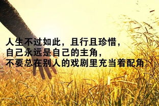 句子,感恩,能量