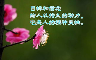 簡短,句子,唯美,能量