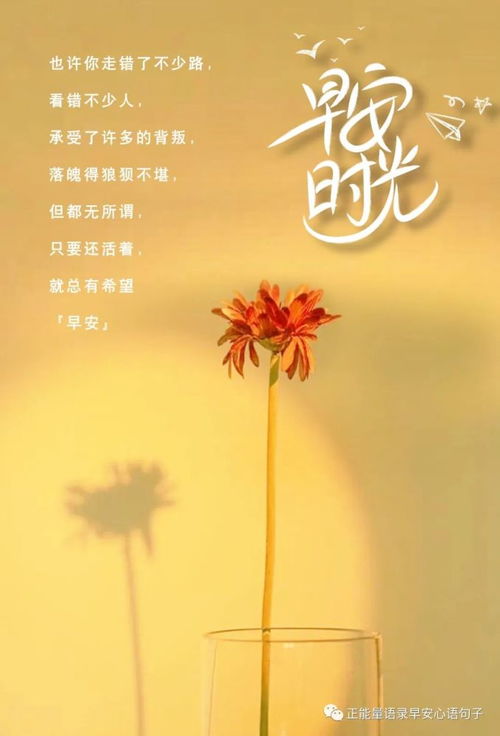 孩子高考鼓勵孩子正能量的話,鼓勵孩子的正能量的話,中考鼓勵孩子的話