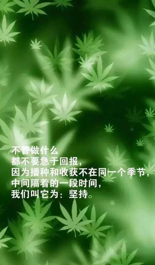 早安,句子,朋友圈,能量