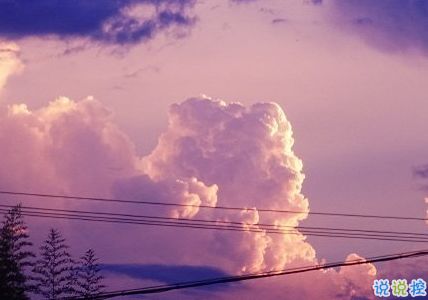 句子,能量,做事,做人