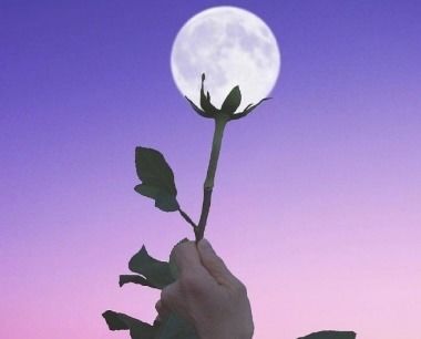 句子,能量,鼓勵(lì),心情