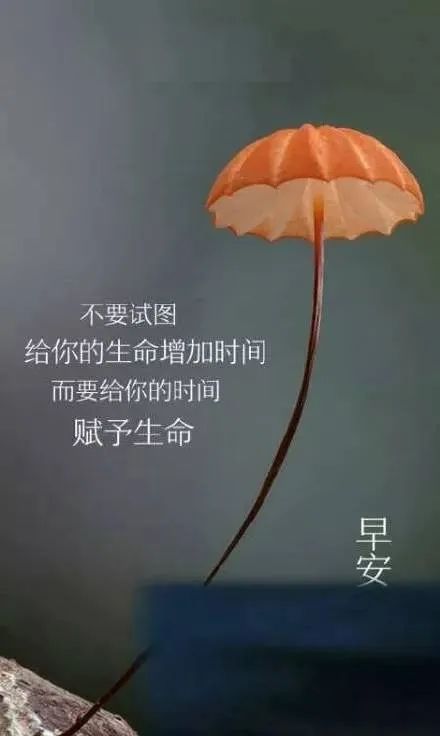無助正能量的句子