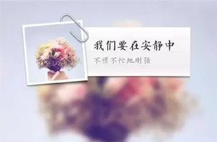 有深度有內(nèi)涵正能量的句子