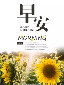 早安勵志正能量的句子,早安語錄正能量的句子,早安正能量句子和