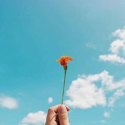 積極向上正能量的句子勵志語錄短句,積極向上正能量的短句子勵志語錄,積極向上正能量的句子勵志語錄8字