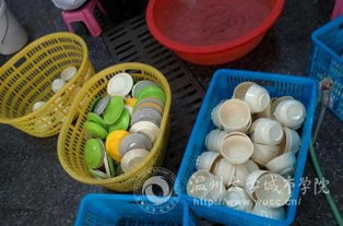 食堂餐具計(jì)什么會(huì)計(jì)科目