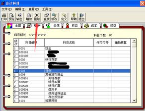 如何將會計科目復(fù)制