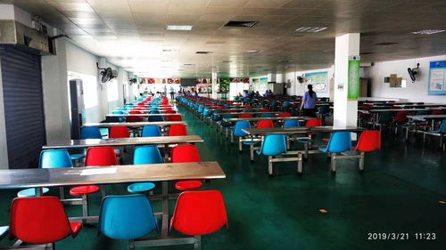 餐飲費的稅怎么計入會計科目