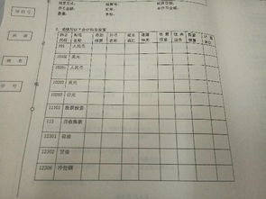 公證處使用什么會計科目
