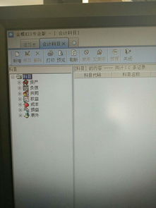 從模版中引入會計(jì)科目