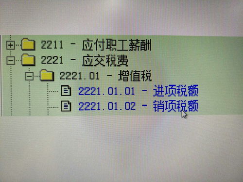 金蝶會(huì)計(jì)科目的二級(jí)科目怎么設(shè)