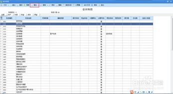 總賬工具復(fù)制會(huì)計(jì)科目
