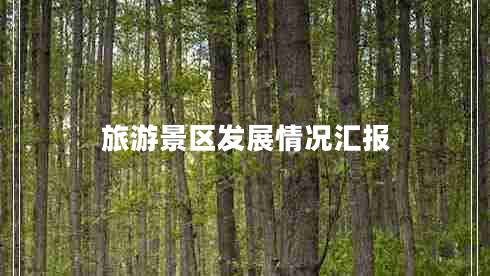 旅游景區(qū)發(fā)展情況匯報(bào)