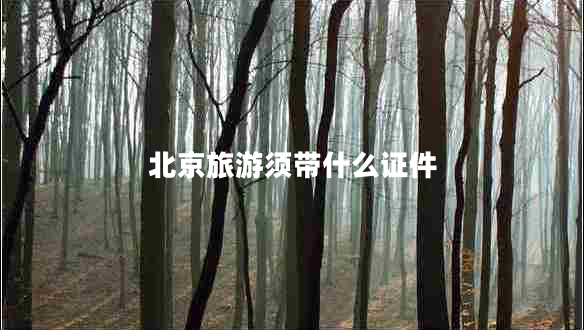 北京旅游須帶什么證件