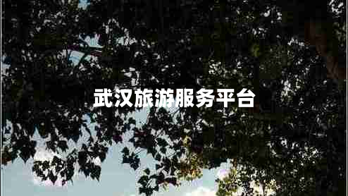 武漢旅游服務(wù)平臺(tái) 武漢旅游服務(wù)平臺(tái)