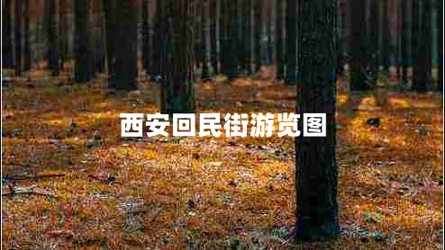 西安回民街游覽圖