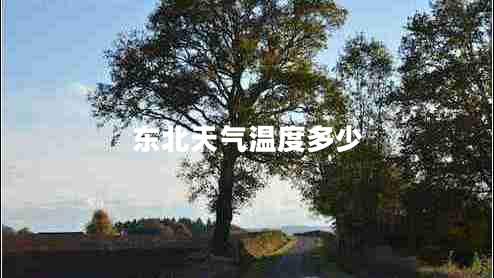 東北天氣溫度多少 東北天氣溫度多少