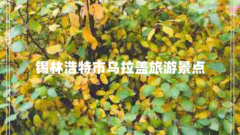 錫林浩特市烏拉蓋旅游景點(diǎn)