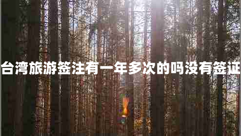 臺(tái)灣旅游簽注有一年多次的嗎沒(méi)有簽證