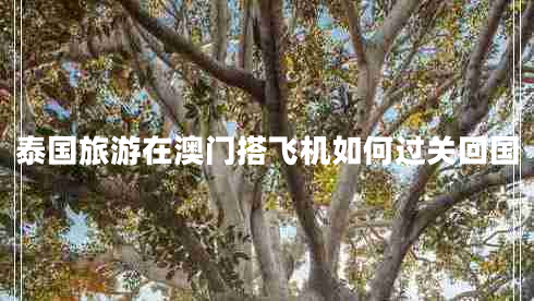 泰國旅游在澳門搭飛機(jī)如何過關(guān)回國