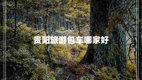貴陽(yáng)旅游包車哪家好