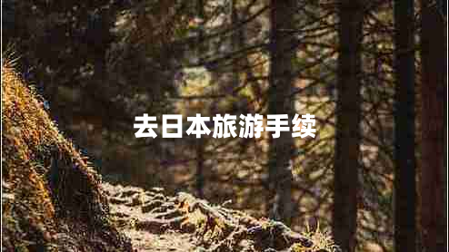 去日本旅游手續(xù)