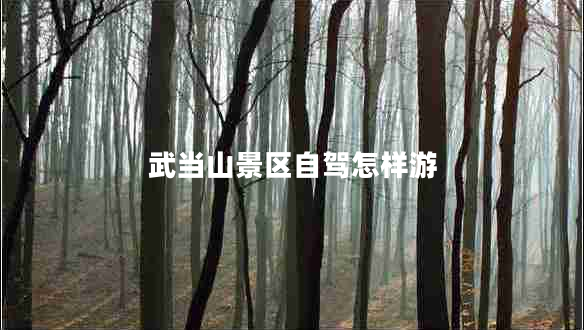 武當山景區(qū)自駕怎樣游