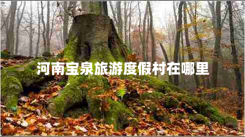 河南寶泉旅游度假村在哪里 河南寶泉旅游度假村在哪里