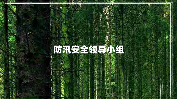 防汛安全領(lǐng)導小組