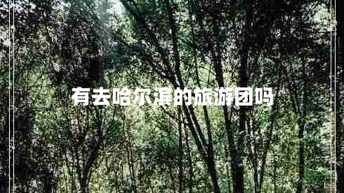有去哈爾濱的旅游團嗎 有去哈爾濱的旅游團嗎