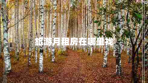 旅游月租房在哪里找 旅游月租房在哪里找