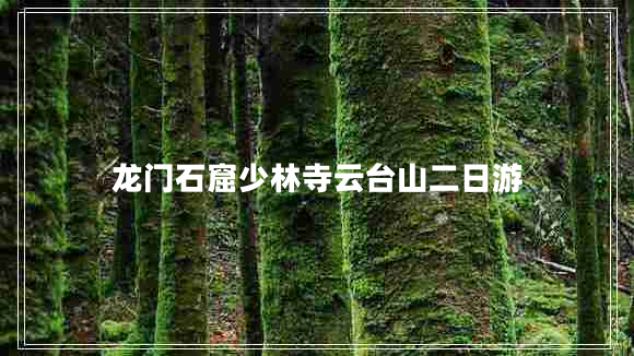 龍門石窟少林寺云臺山二日游