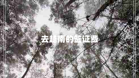 去越南的簽證費