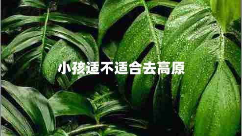 小孩適不適合去高原 小孩適不適合去高原