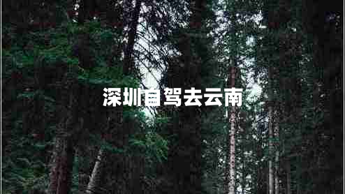 深圳自駕去云南