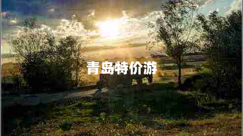 青島特價(jià)游